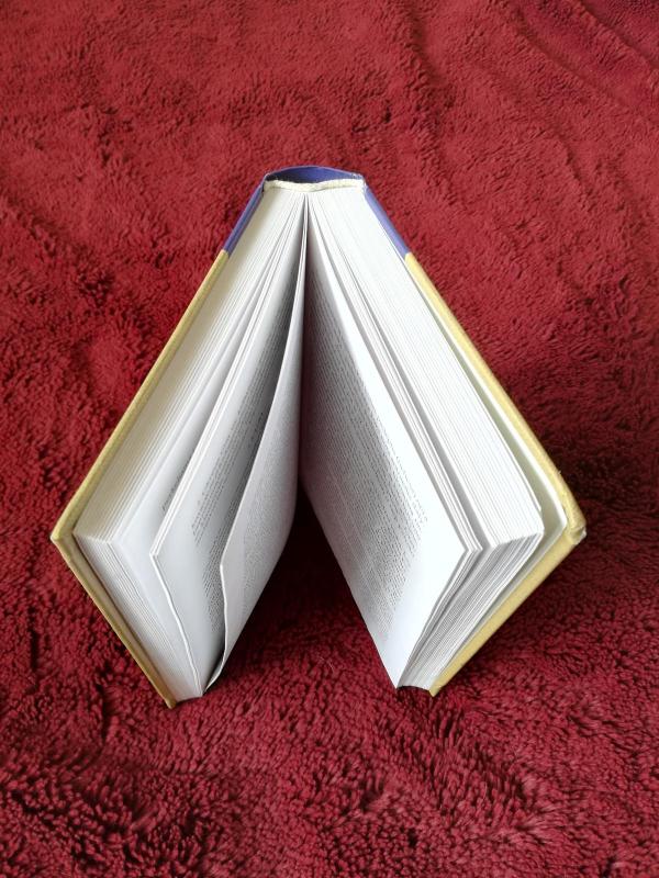 Raštai (1 tomas) - Vincas Vyčinas, knyga 4