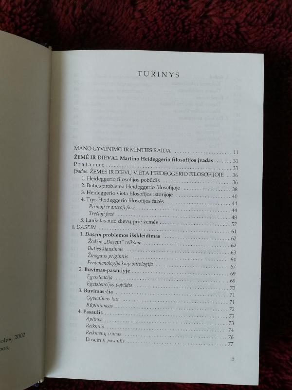 Raštai (1 tomas) - Vincas Vyčinas, knyga 3