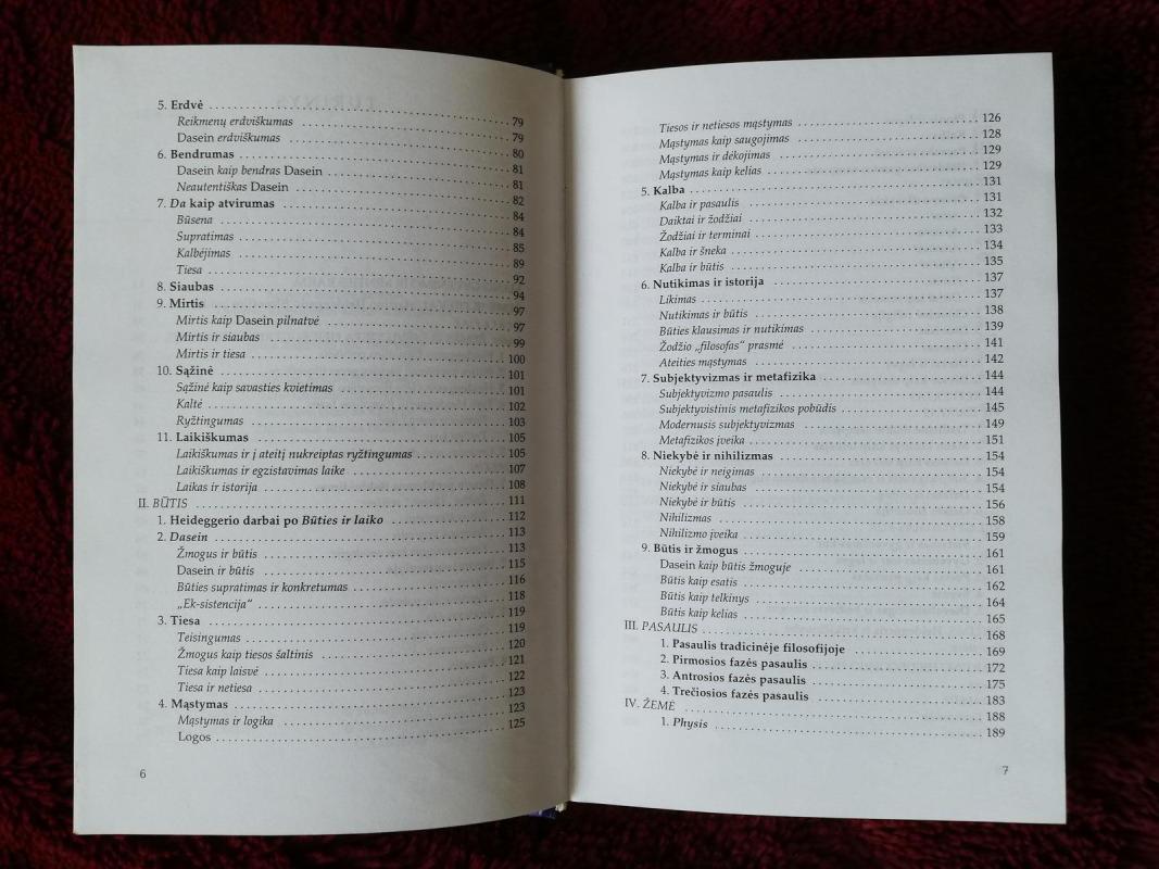 Raštai (1 tomas) - Vincas Vyčinas, knyga 2