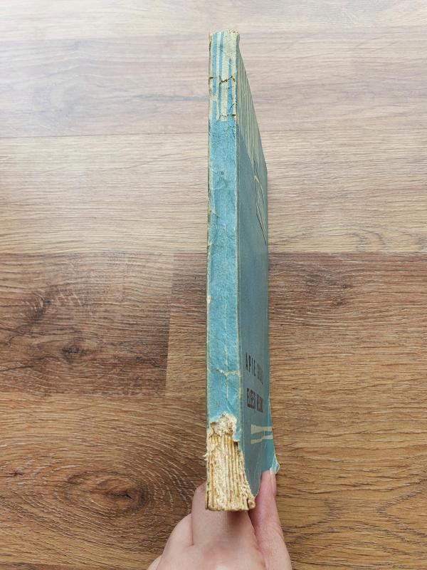 Apie gražų elgesį viešumoje - V. Soblys, knyga 3