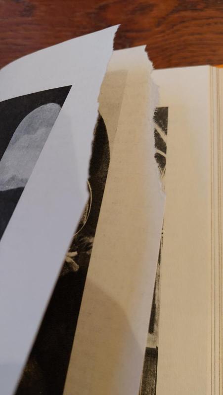 Vaza su kregždute - Anatolijus Varšavskis, knyga 4