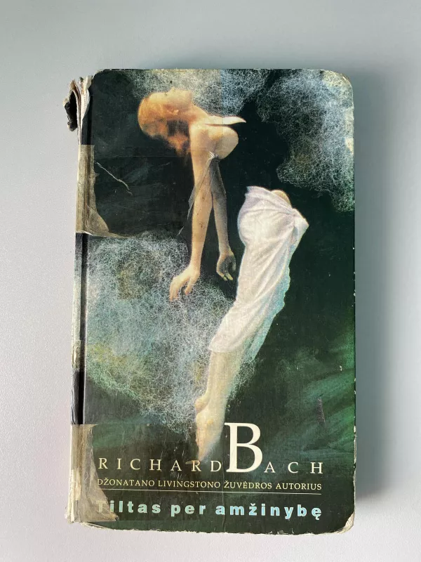 Tiltas per amžinybę - Richard Bach, knyga