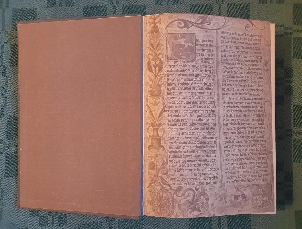 Historia literatury polskiej : Alegoryzm – preromantyzm - Julian Krzyżanowski, knyga 4