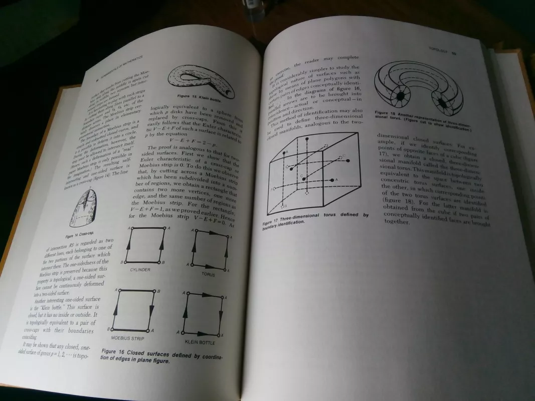 The realm of science. Vol. 3.4....(viso 12 tomų) Fundamentals of mathematics - Autorių Kolektyvas, knyga 2