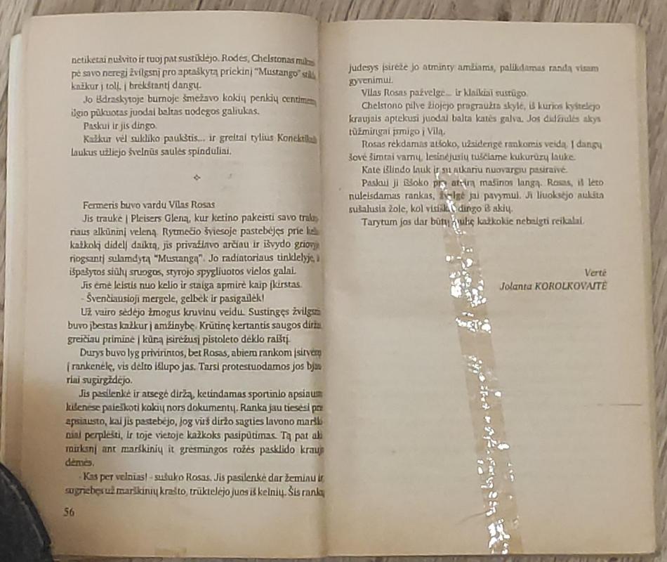 Rūkas - Stephen King, knyga 2