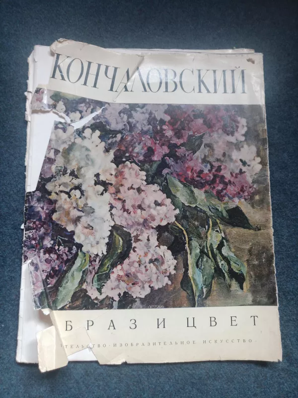 Кончаловский образ и цвет - Петр Кончаловский, knyga 3