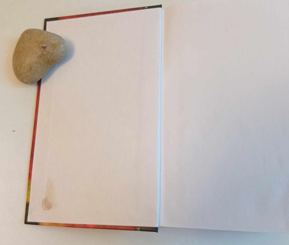 Мечи и ледовая магия - Фриц Лейбер, knyga 3