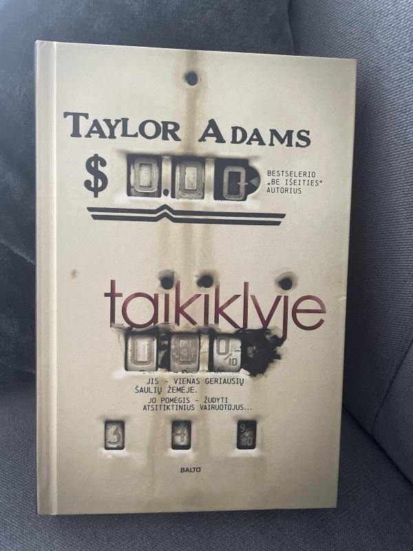 Taikiklyje - Taylor Adams, knyga 5