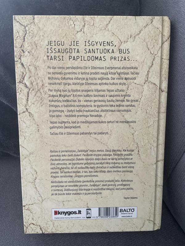 Taikiklyje - Taylor Adams, knyga 4