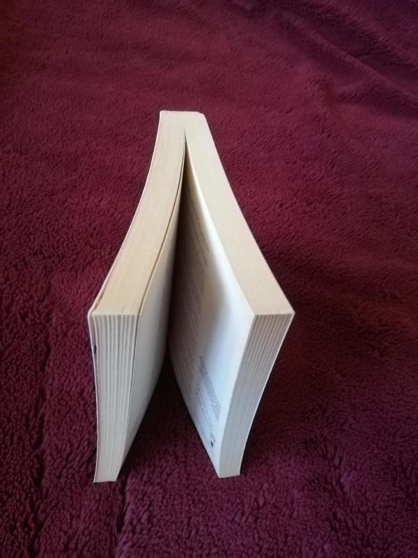 IŠMOKIME MOKYTIS - Sebastian Leitner, knyga 3