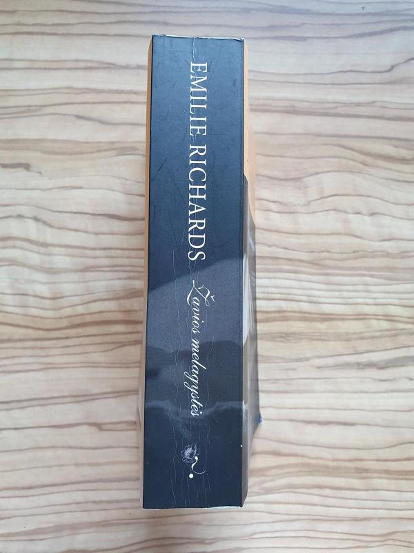 Žavios melagystės - Emilie Richards, knyga 4