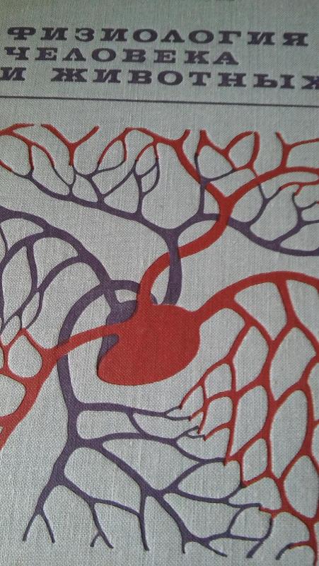Žmogaus ir gyvūnų fiziologija - S.I. Galperin, knyga 5