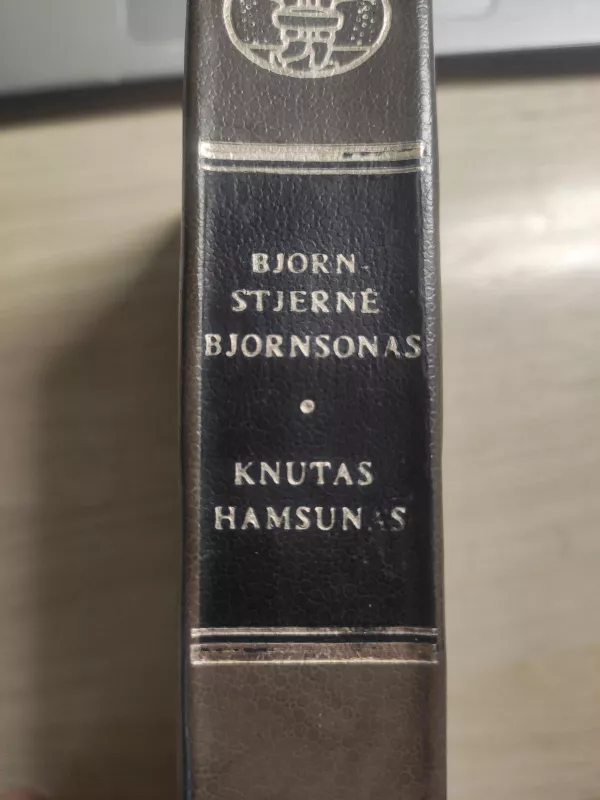Apysakos - Bjornstjernė Bjornsonas, Knutas  Hamsunas, knyga