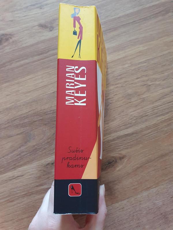 Sušis pradinukams - Marian Keyes, knyga 4