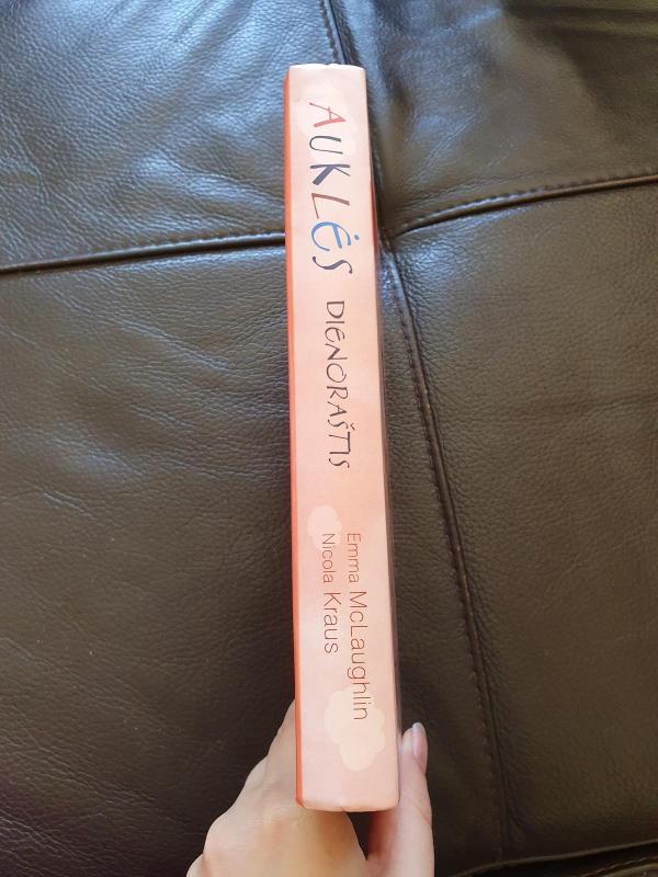 Auklės dienoraštis - Emma McLaughlin, knyga 4