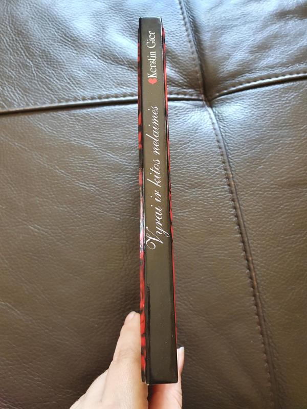 Vyrai ir kitos nelaimės - Kerstin Gier, knyga 3