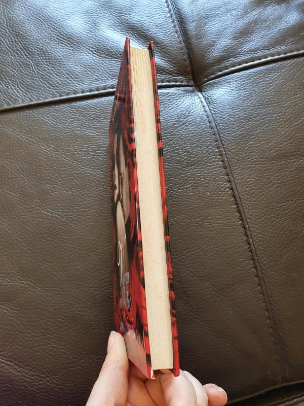 Vyrai ir kitos nelaimės - Kerstin Gier, knyga 4