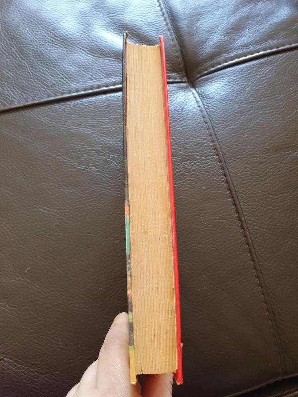 Sugrąžintasis rojus - Džanetė Taner, knyga 4