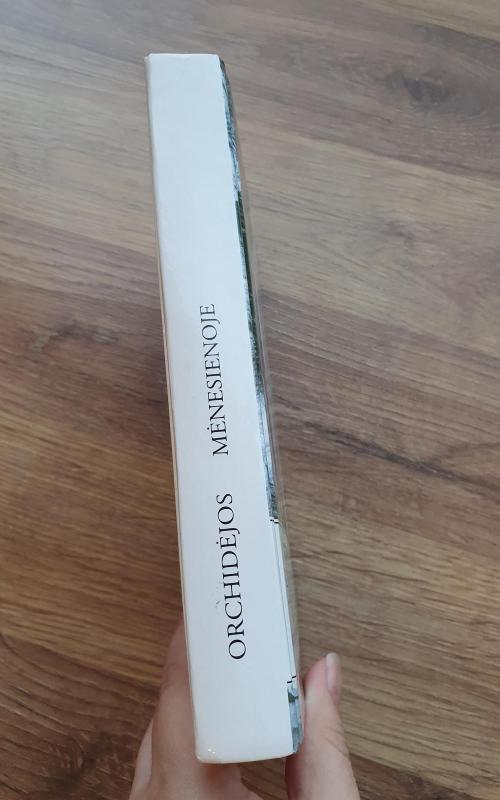 Orchidėjos mėnesienoje - Patricia Hagan, knyga 3