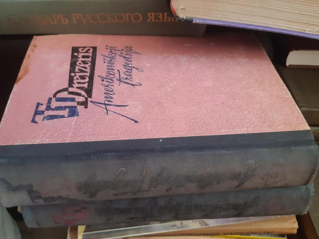 Stoikas - T. Dreizeris, knyga 2