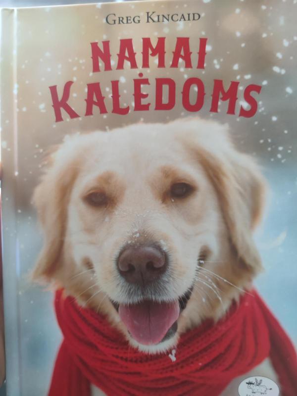 Namai kalėdoms - Greg Kincaid, knyga 2
