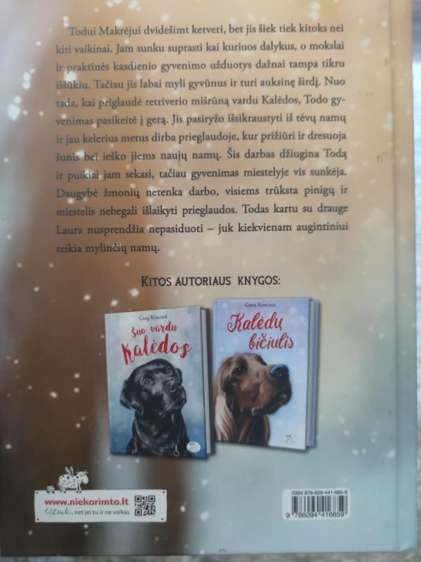 Namai kalėdoms - Greg Kincaid, knyga 3