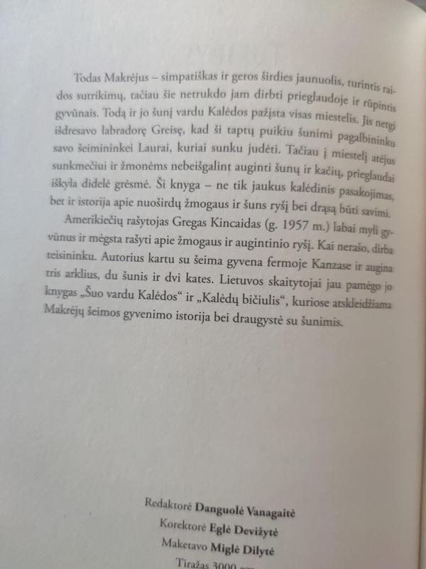 Namai kalėdoms - Greg Kincaid, knyga 5