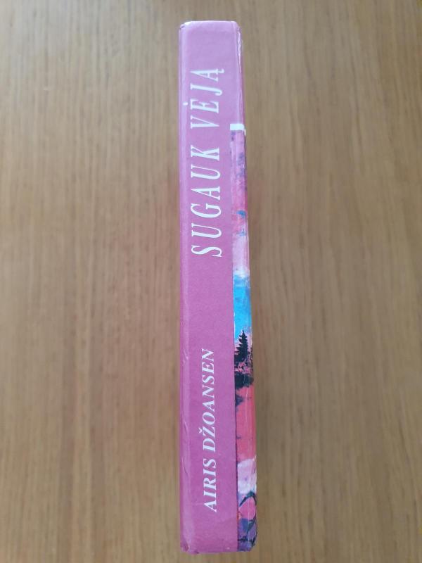 Sugauk vėją - Airis Džoansen, knyga 4