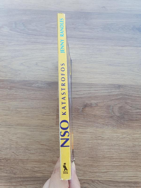 NSO katastrofos. Ateivių erdvėlaivių paieška - Jenny Randles, knyga 3