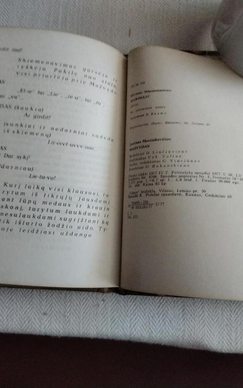 Mažvydas - Justinas Marcinkevičius, knyga 2