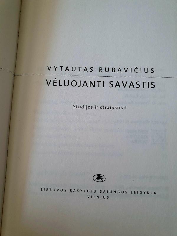 Vėluojanti savastis - Vytautas Rubavičius, knyga 2