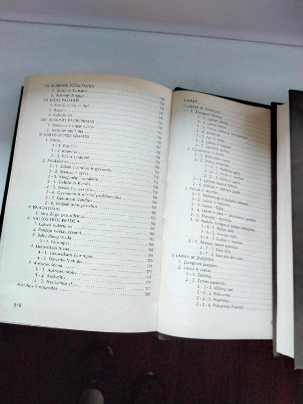 Tautos atminties beieškant. Apie dievus ir žmones - Algirdas Greimas, knyga 2