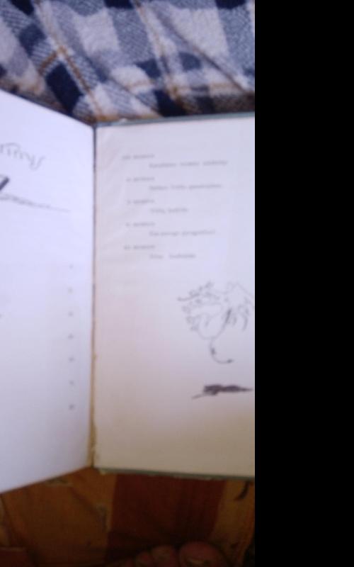 Alisa stebuklų šalyje - Luisas Kerolis, knyga 3