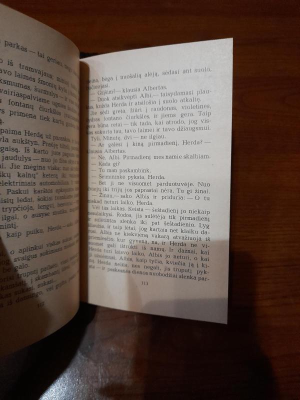 Šimtmečių gausmas - Aleksandras Bauža, knyga 4