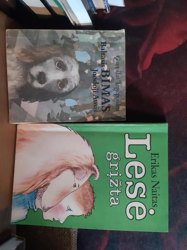 Baltasis Bimas Juodoji Ausis - Gavrilas Trojepolskis, knyga 3