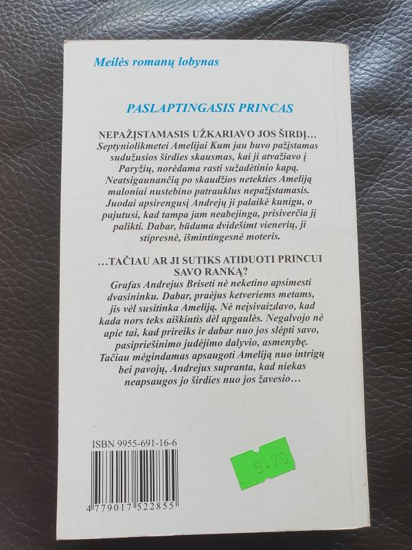 Paslaptingasis princas - Kate Huntington, knyga 4