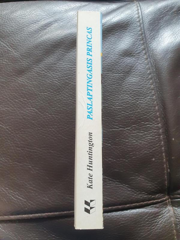 Paslaptingasis princas - Kate Huntington, knyga 3