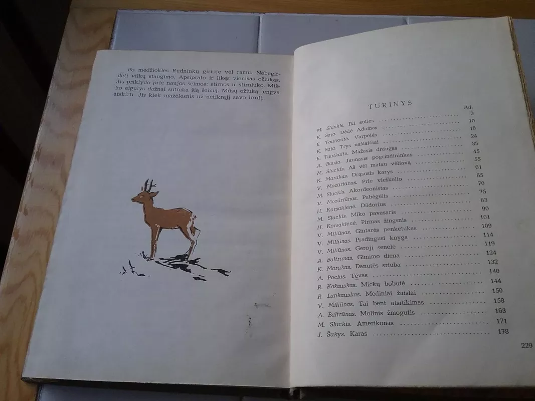 Apsakymai - V. Auryla, knyga 5