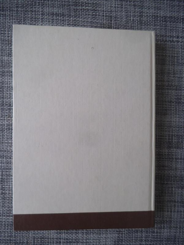 Vilniaus Šv. Onos bažnyčia. Vilniaus katedros rekonstrukcija - Vladas Drėma, knyga 2