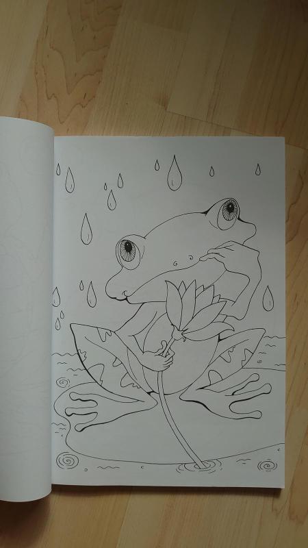 Didysis spalvinimo albumas - N. Blauzdienė, knyga 2