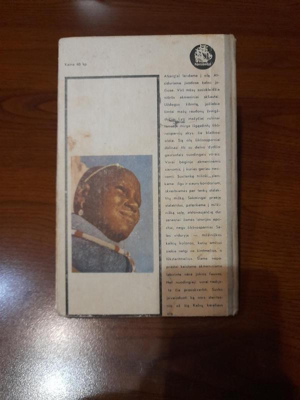 Afrikos širdyje - Jorgenas Bičas, knyga 5