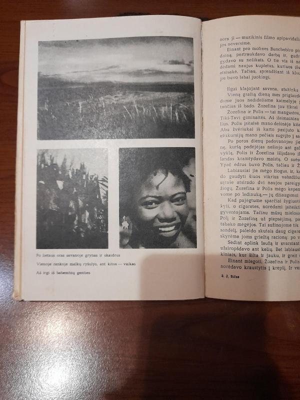 Afrikos širdyje - Jorgenas Bičas, knyga 4