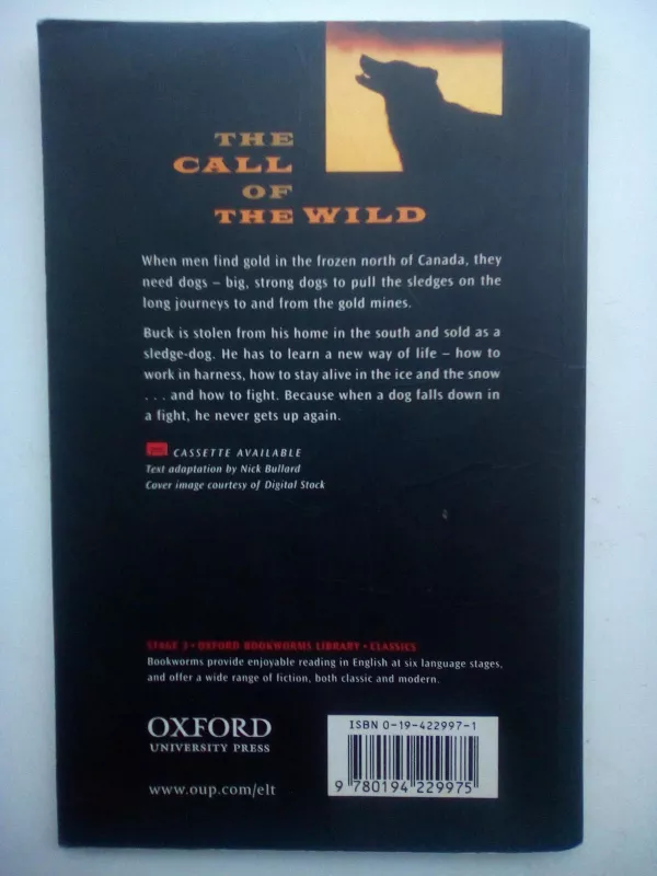 The Call of the Wild - Jack London, knyga 4