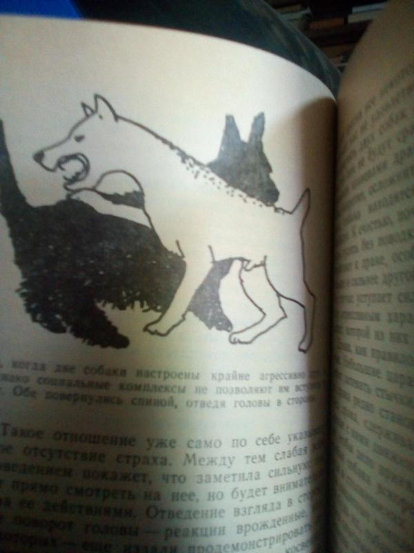 ПОВЕДЕНИЕ СОБАК - Е. Бергман, knyga 4