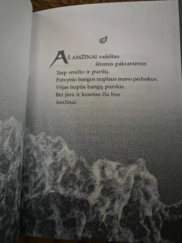 Smėlis ir purslai - Kahlil Gibran, knyga