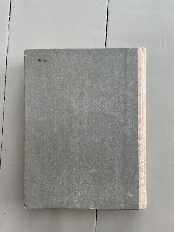 Mediniai žirgai - Fiodoras Abramovas, knyga 2