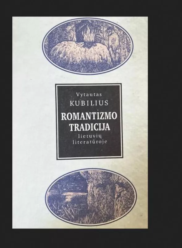 Romantizmo tradicija lietuvių literatūroje - Vytautas Kubilius, knyga