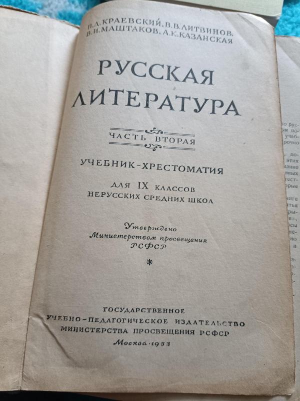 Русская литература.Учебник-хрестоматия - Анна Литвинова, Сергей  Литвинов, knyga 2