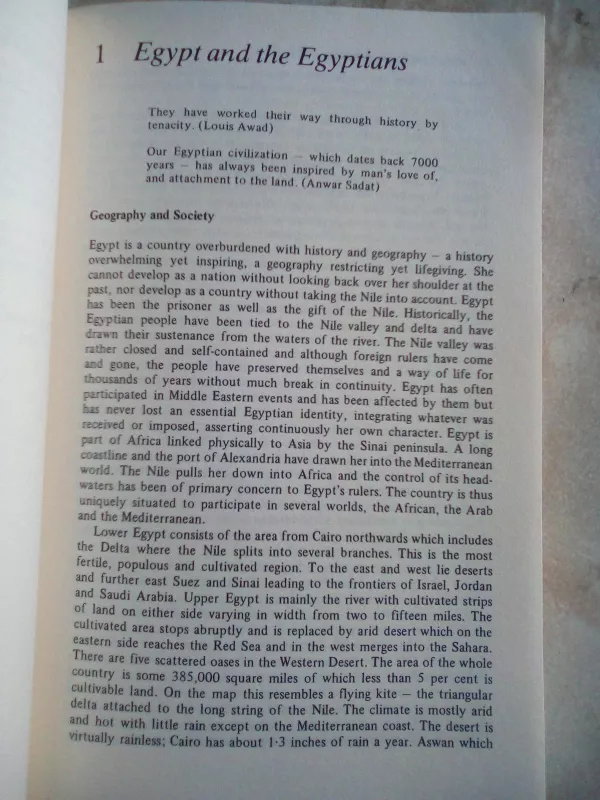 Egipt Politics and Society 1945-1984 - Derek Hopwood, knyga 3