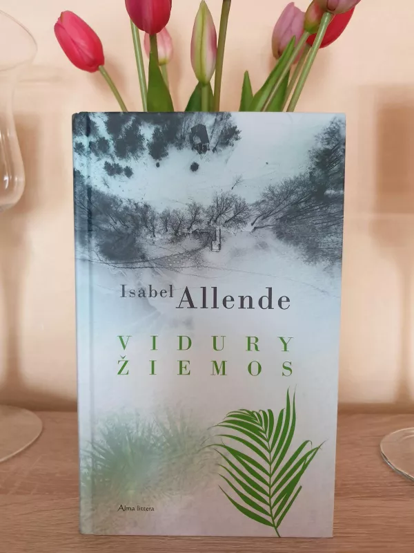 VIDURY ŽIEMOS - Isabel Allende, knyga